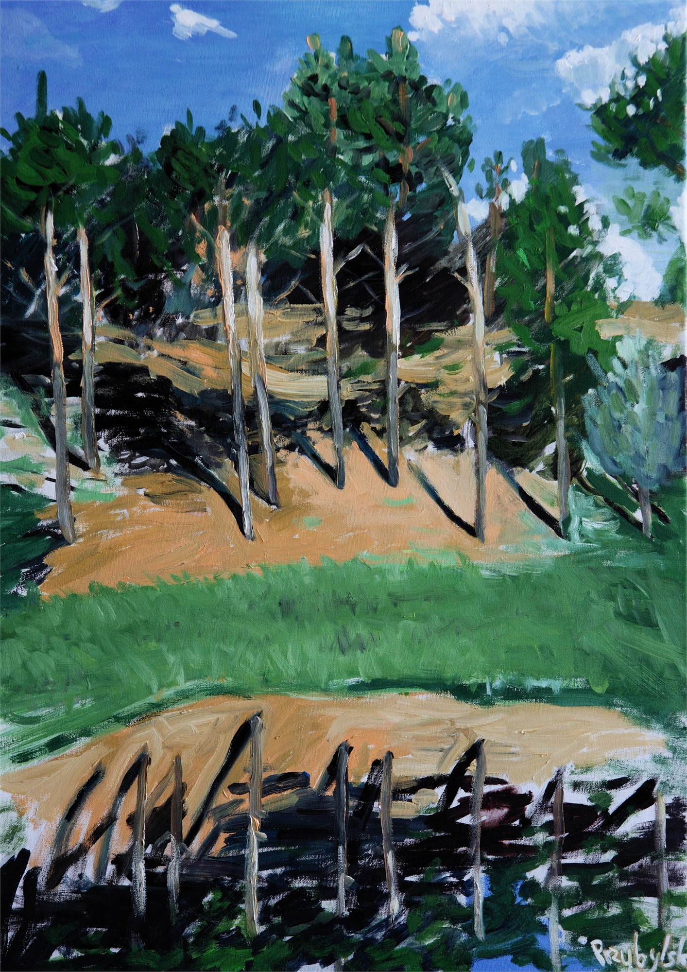 Landscape in Kamion 2009