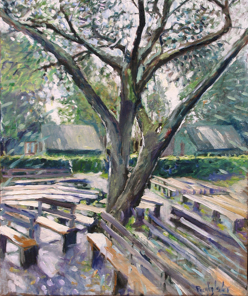 The Tree And Benches 2011