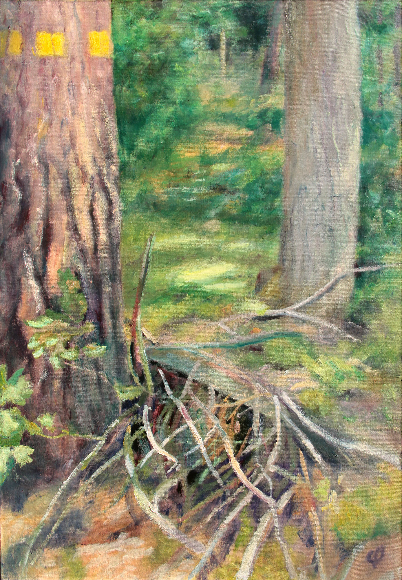 Brushwood 2013