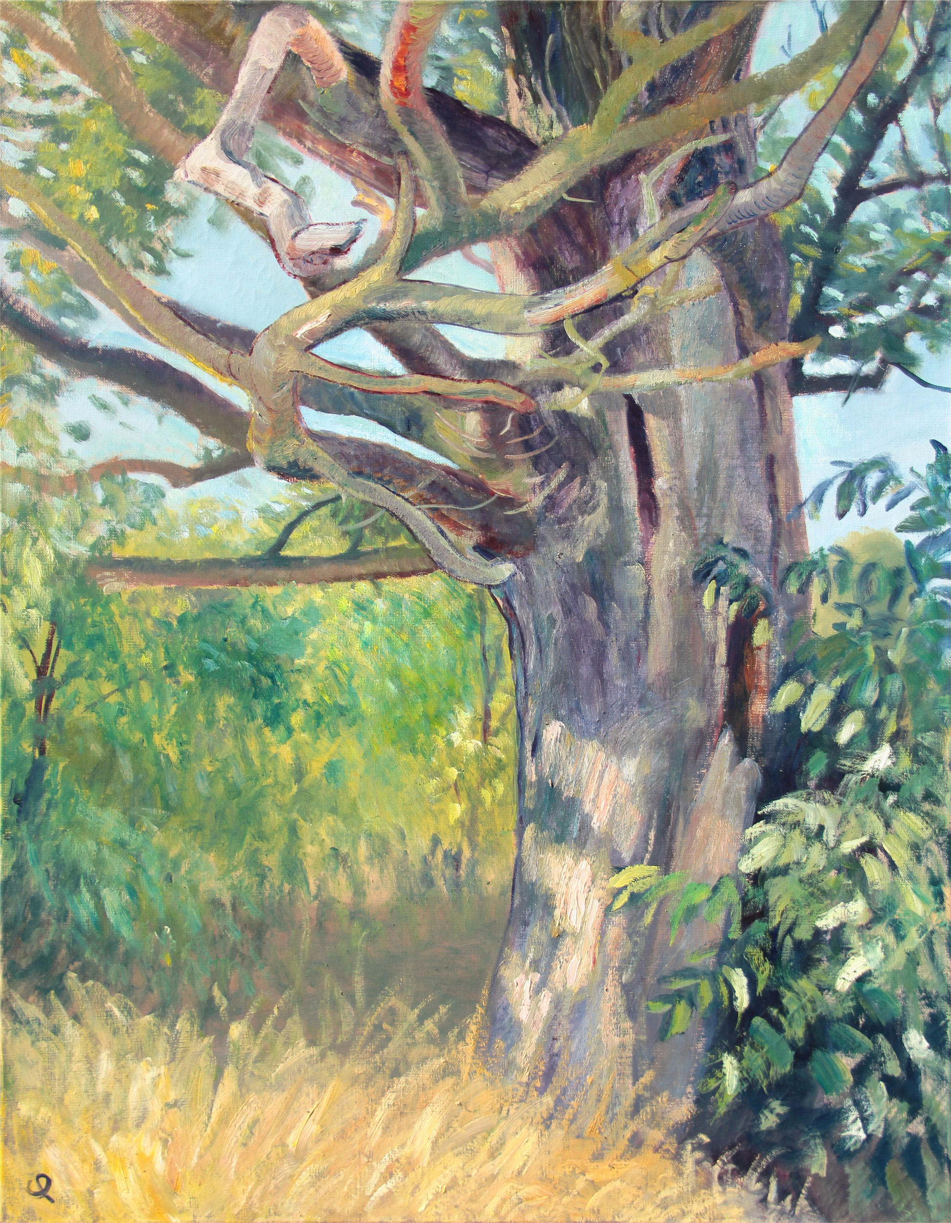 The Meditation Tree 2013