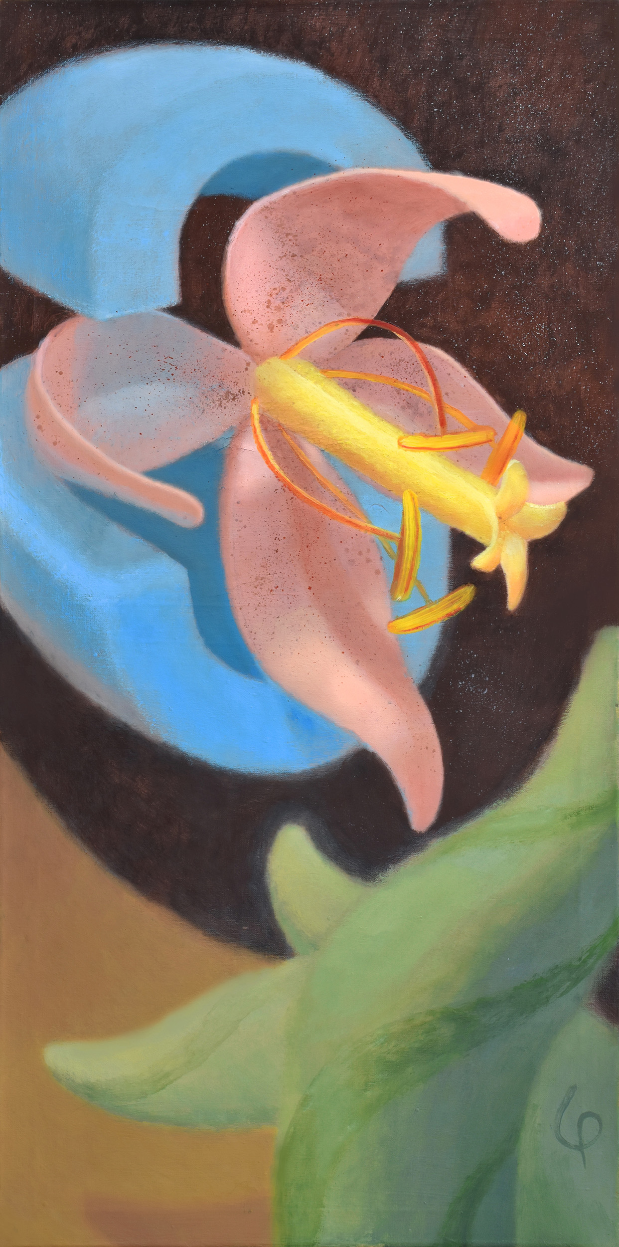 The Inflorescence